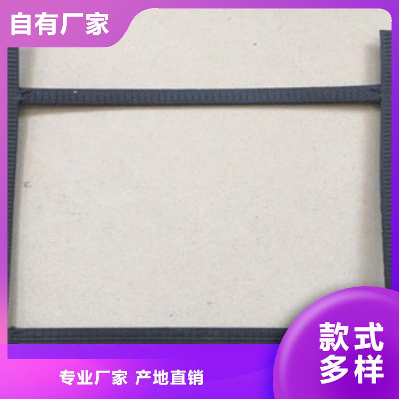 钢塑土工格栅 塑料土工格栅层层质检同城区域生产商