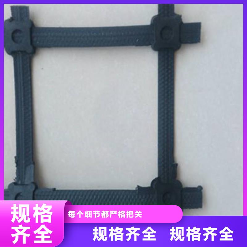 【钢塑土工格栅,三维植被网制造厂家】重信誉厂家