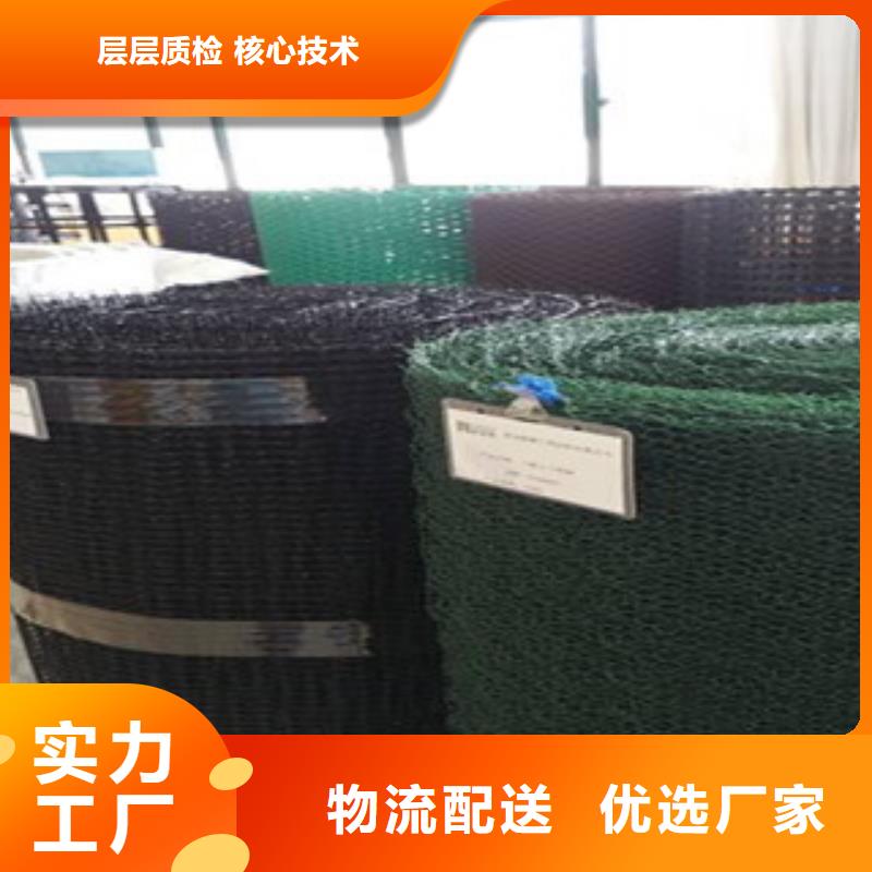 钢塑土工格栅玻纤土工格栅价格公道合理常年供应