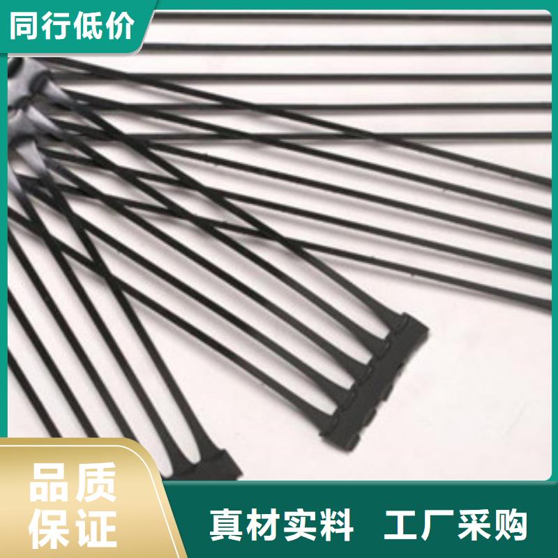 单向塑料格栅_【塑料排水板】品质信得过送货上门