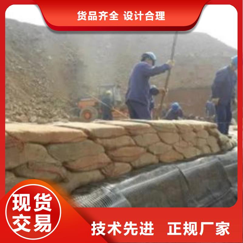单向塑料格栅塑料土工格栅售后服务完善可定制有保障