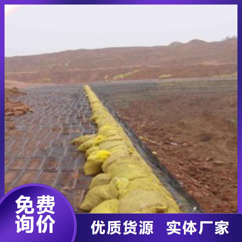 单向塑料格栅三维植被网型号全价格低老客户钟爱