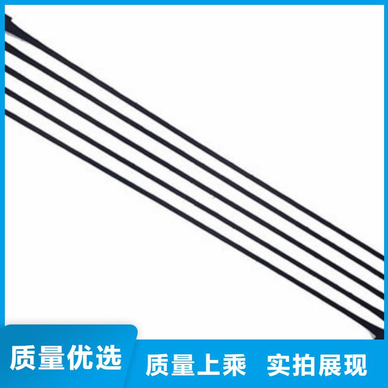 【单向塑料格栅】三维植被网专注产品质量与服务根据要求定制