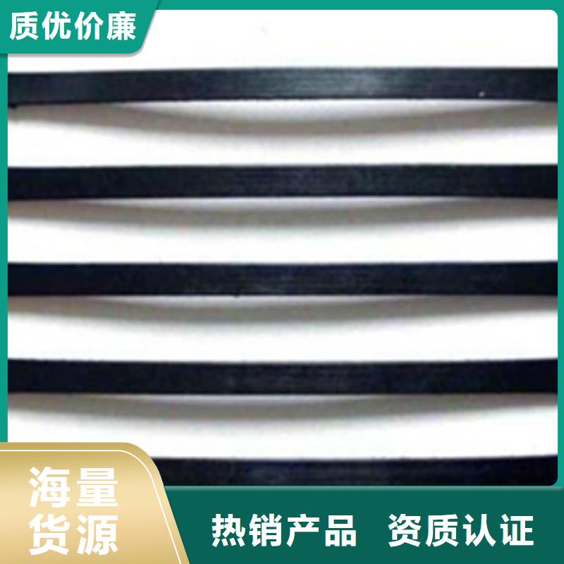 【单向塑料格栅,三维植被网真材实料诚信经营】厂家销售