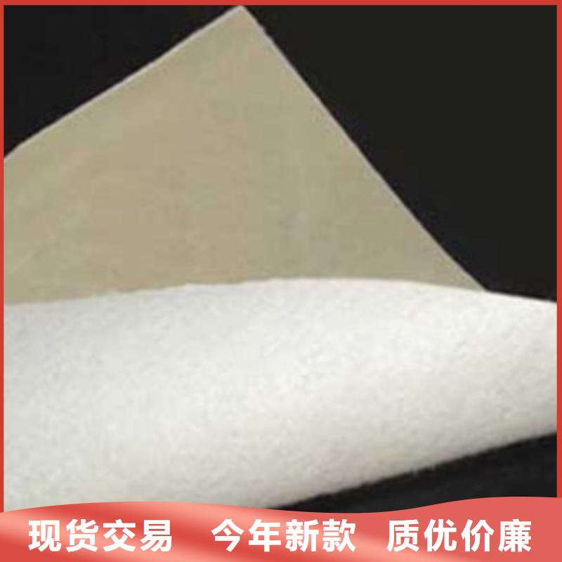 土工布-钢塑土工格栅海量现货直销工艺层层把关