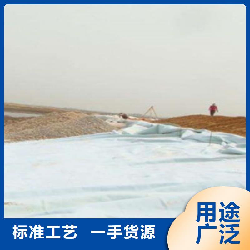 土工布_膨润土防水毯工厂直供同城区域厂家