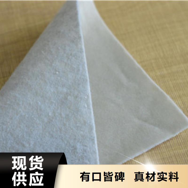 【土工布塑料土工格栅欢迎来电咨询】本市厂家