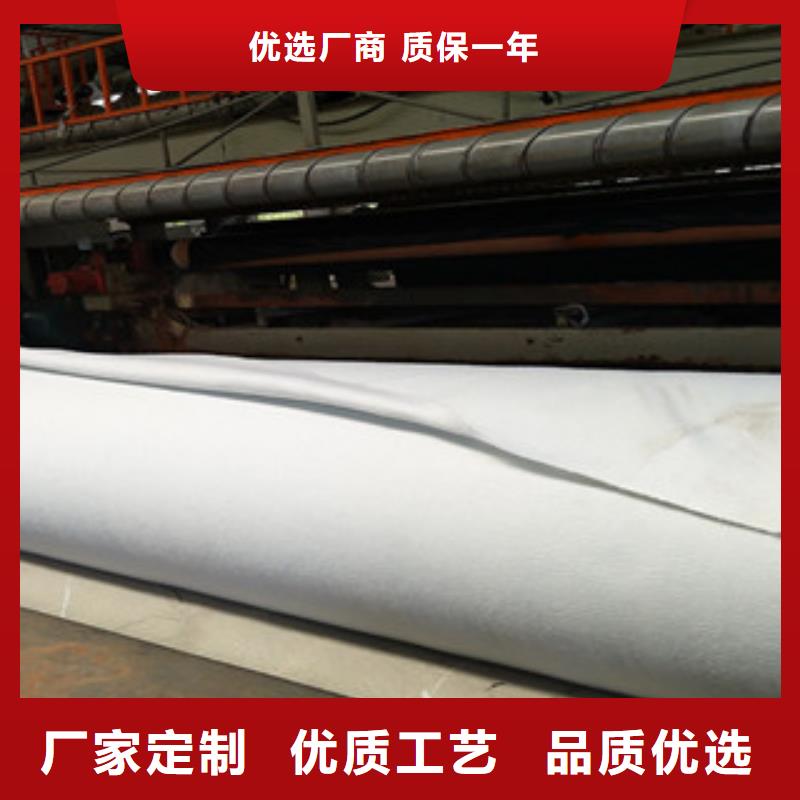 土工布三维植被网快速报价匠心工艺