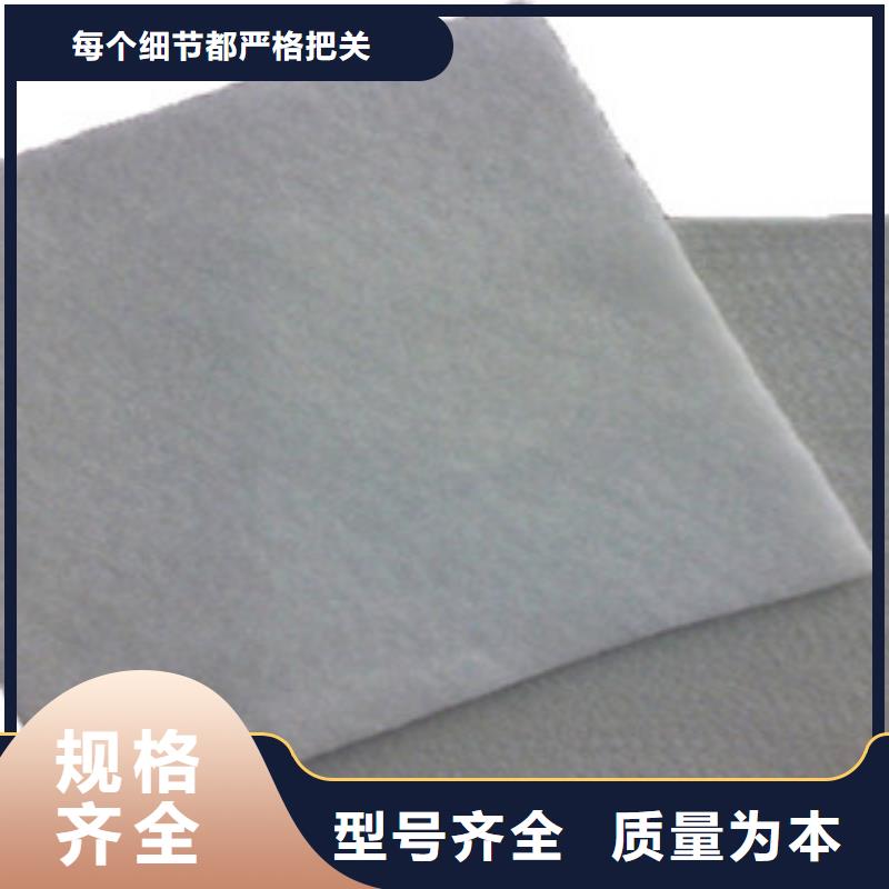 土工布塑料排水板厂家品控严格同城区域服务商