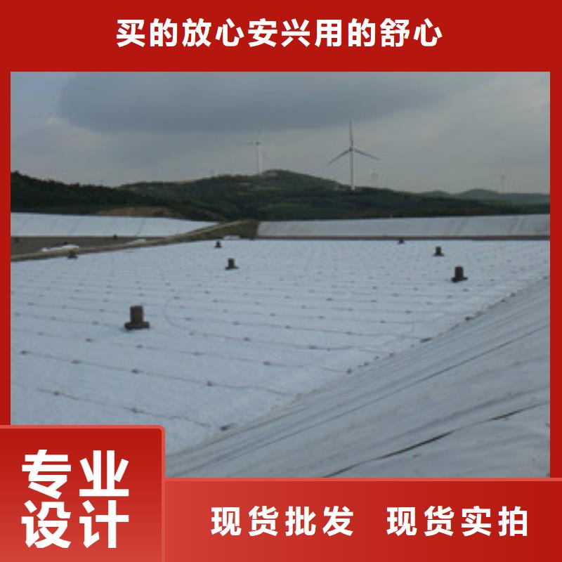 【土工布】钢塑土工格栅优势本地经销商