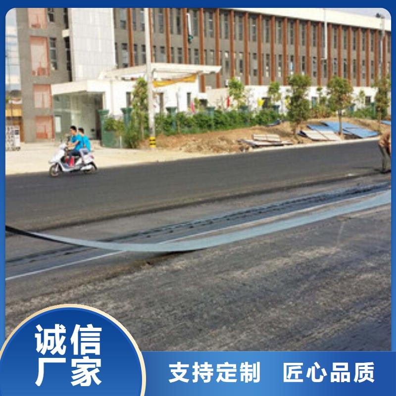 防裂贴三维植被网现货供应专注细节更放心