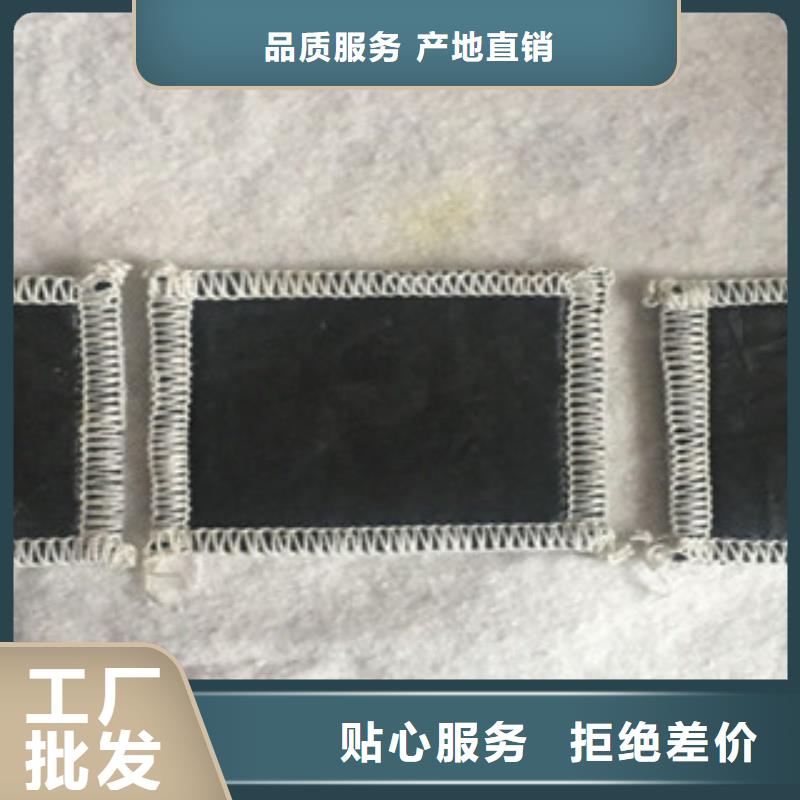 膨润土防水毯三维植被网自有厂家附近品牌