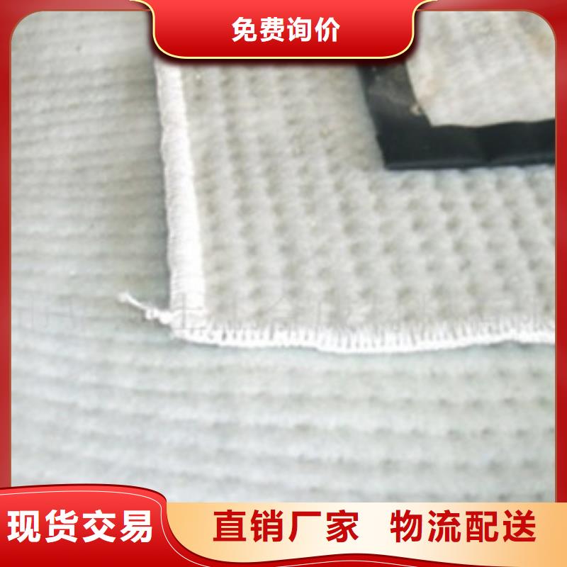 膨润土防水毯三维植被网好产品有口碑一站式采购