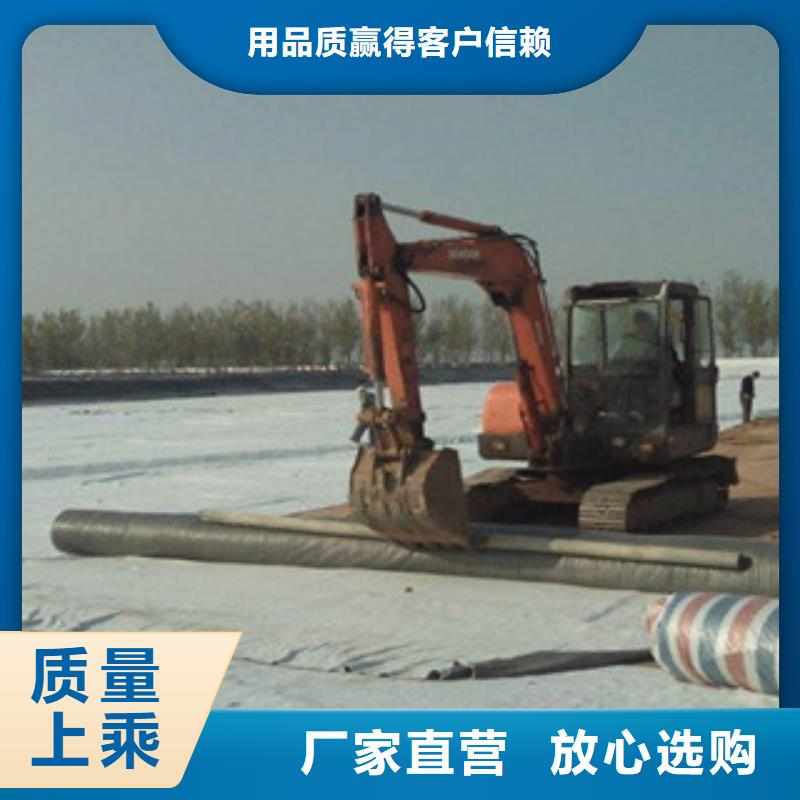 膨润土防水毯 【玻纤土工格栅】价格实惠工厂直供源头厂家