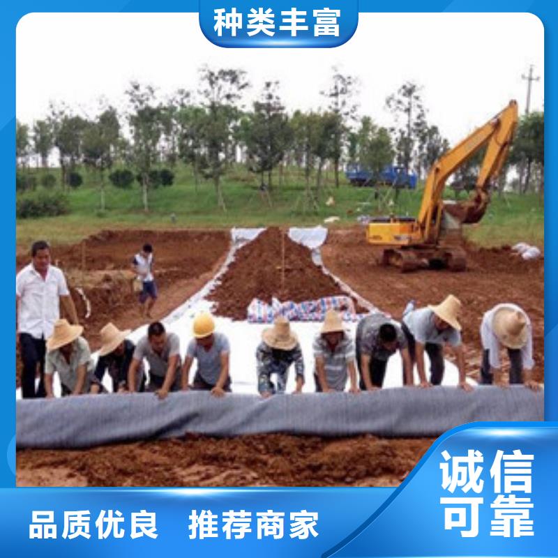 膨润土防水毯防裂贴抗裂贴专业信赖厂家品质服务