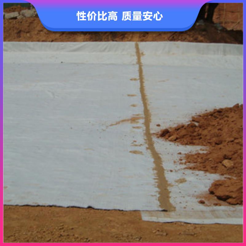 膨润土防水毯复合土工布专业设计厂家售后完善