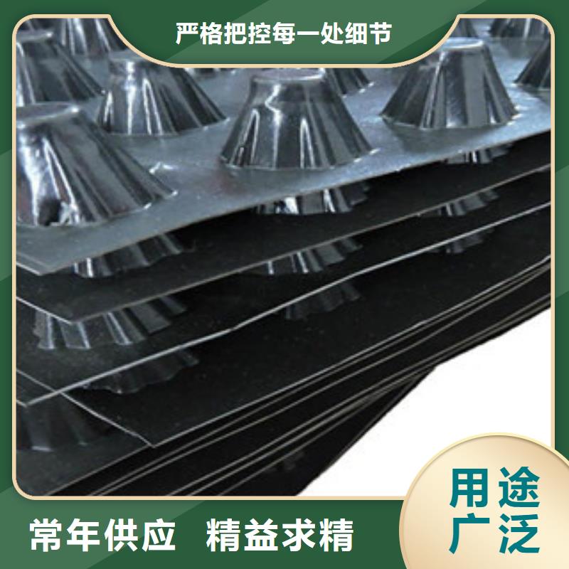 塑料排水板,复合排水板蓄排水板实力优品同城区域公司