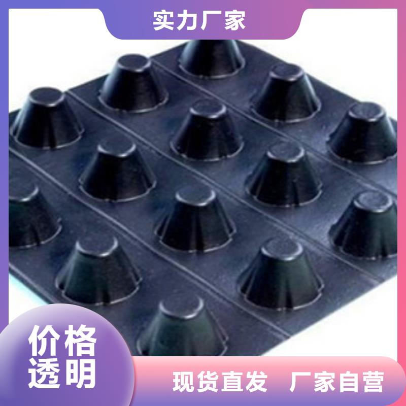 塑料排水板三维植被网可定制本地范围服务商