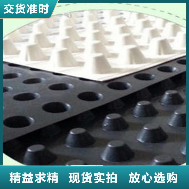 塑料排水板三维植被网质优价廉同城区域生产厂家