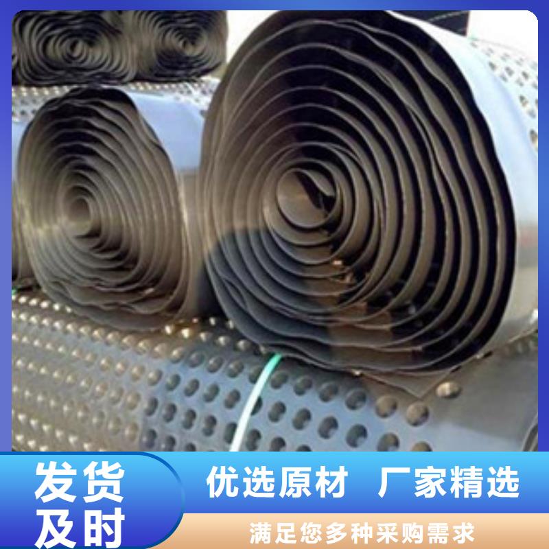 塑料排水板玻纤土工格栅专业品质经销商
