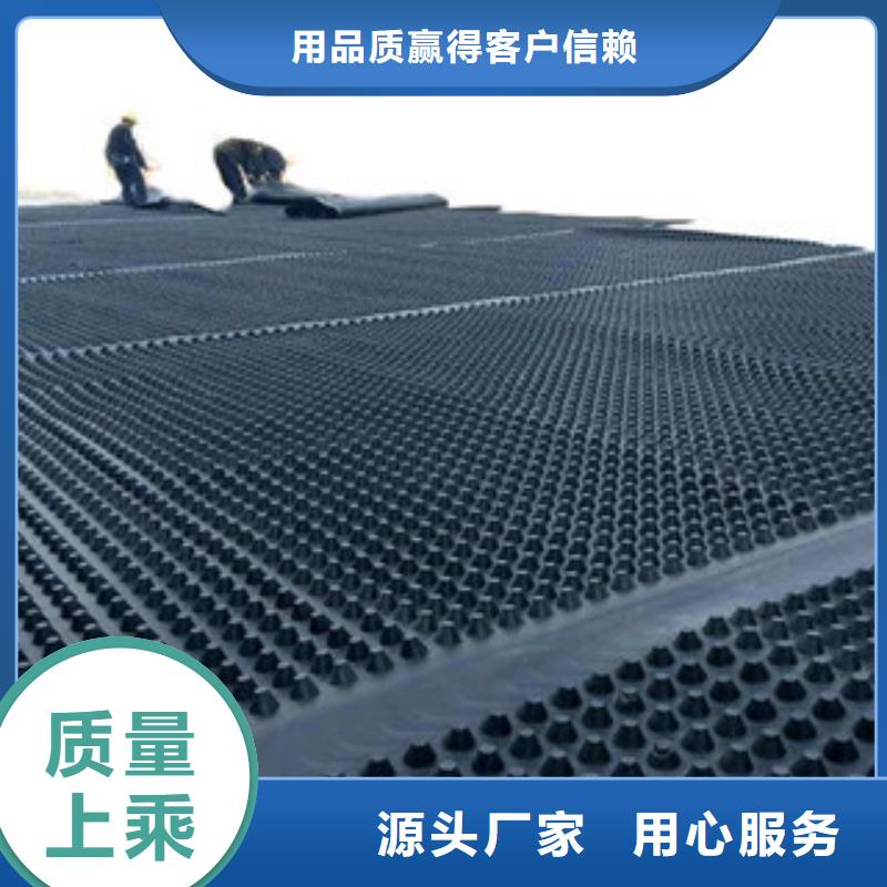 塑料排水板,玻纤土工格栅价格有优势做工细致