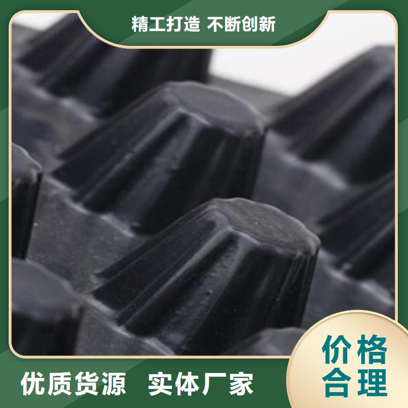 【塑料排水板-塑料土工格栅厂家供应】匠心工艺