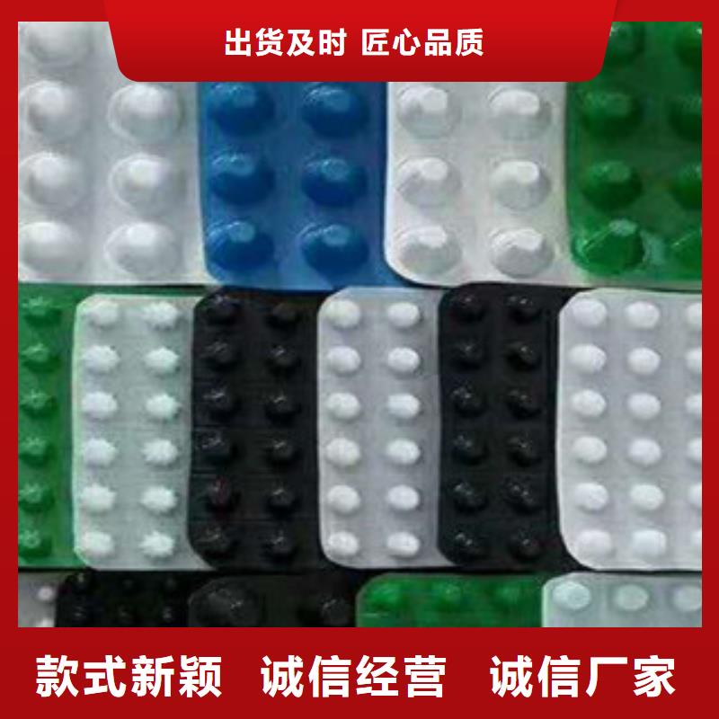 塑料排水板【钢塑土工格栅】多种规格供您选择辖区内供应商