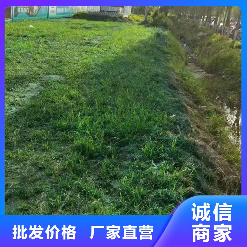 环保环保抑尘剂诚信厂家效果好抑尘剂工厂认证