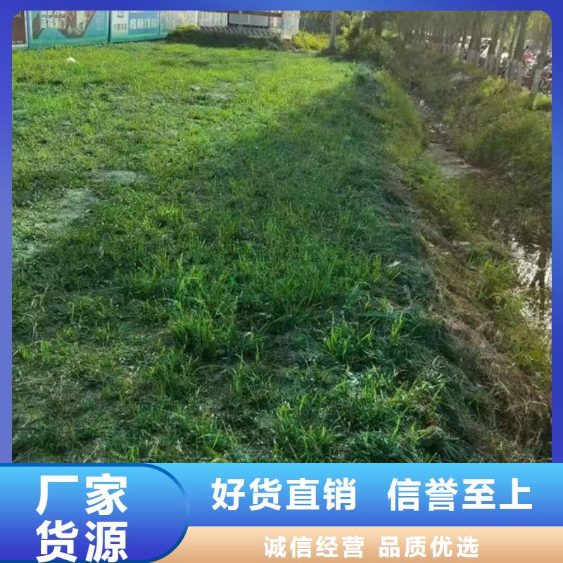 铁路抑尘剂保质保量颜色尺寸款式定制