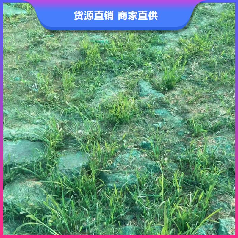 即可抑尘剂绿色色素高品质现货销售正规厂家