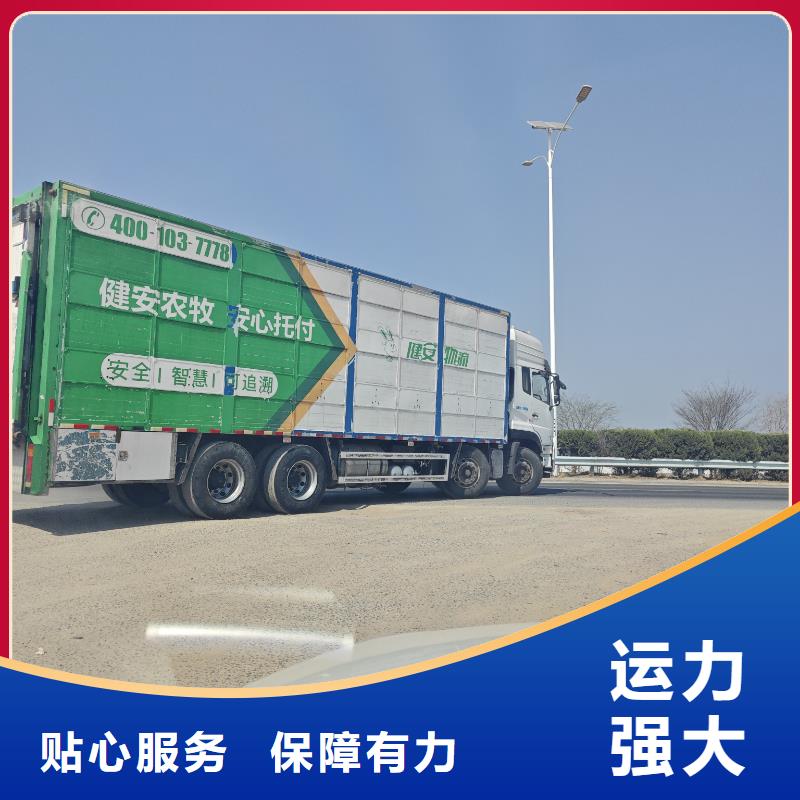 宿迁市泗洪到鹤壁活禽物流小心谨慎