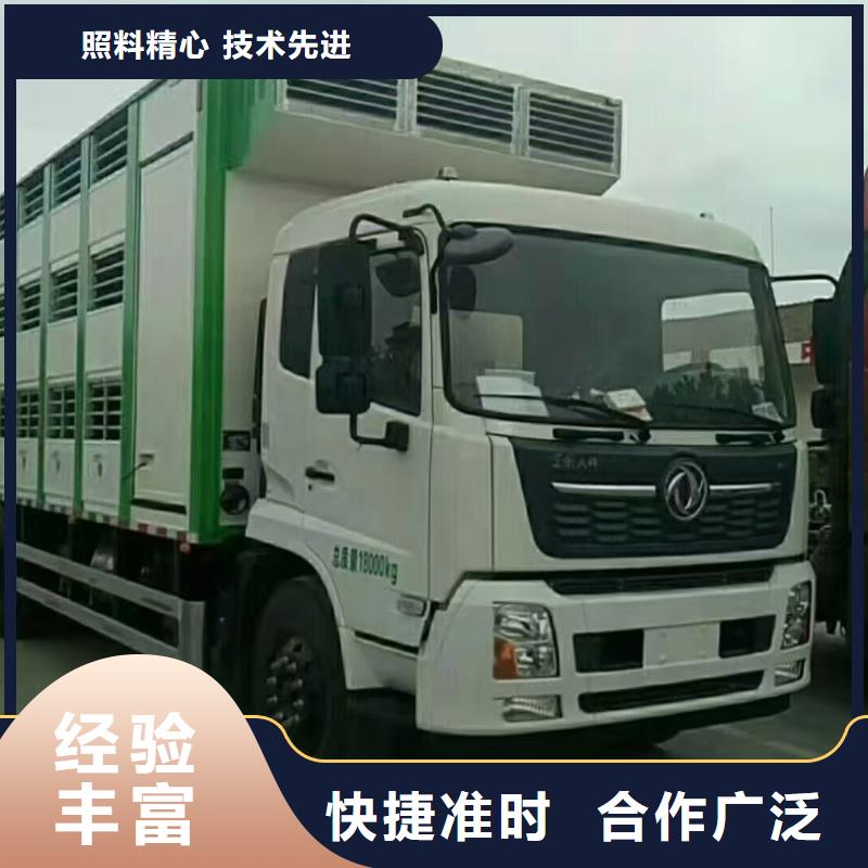 丽水到黄石猪笼车运输合规经营