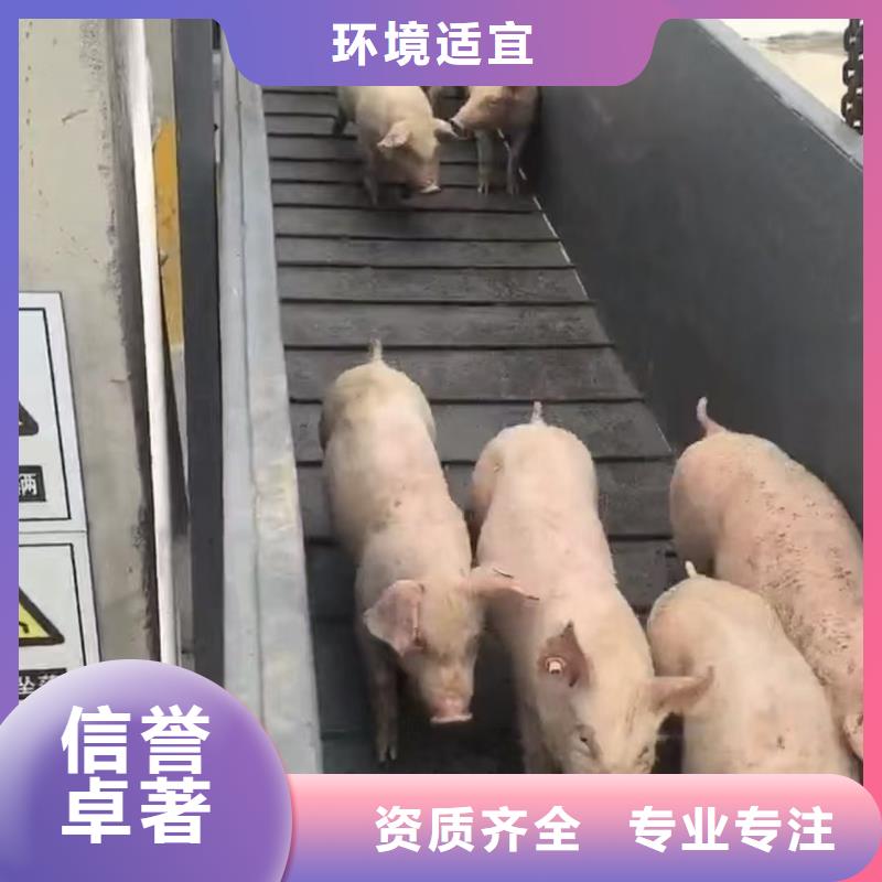 宿迁市到许昌恒温车运输设备精良