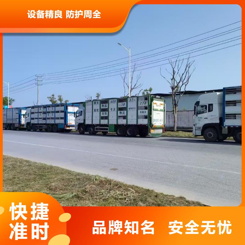 焦作到三亚二育运输稳妥可靠