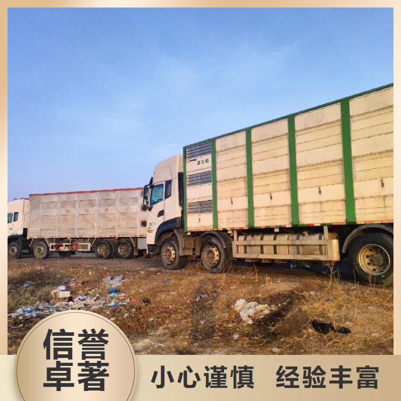 芜湖到云浮羊运输托运通风循环
