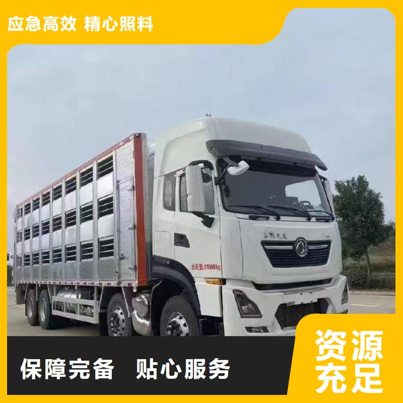 徐州至保定活禽物流【实时定位】?