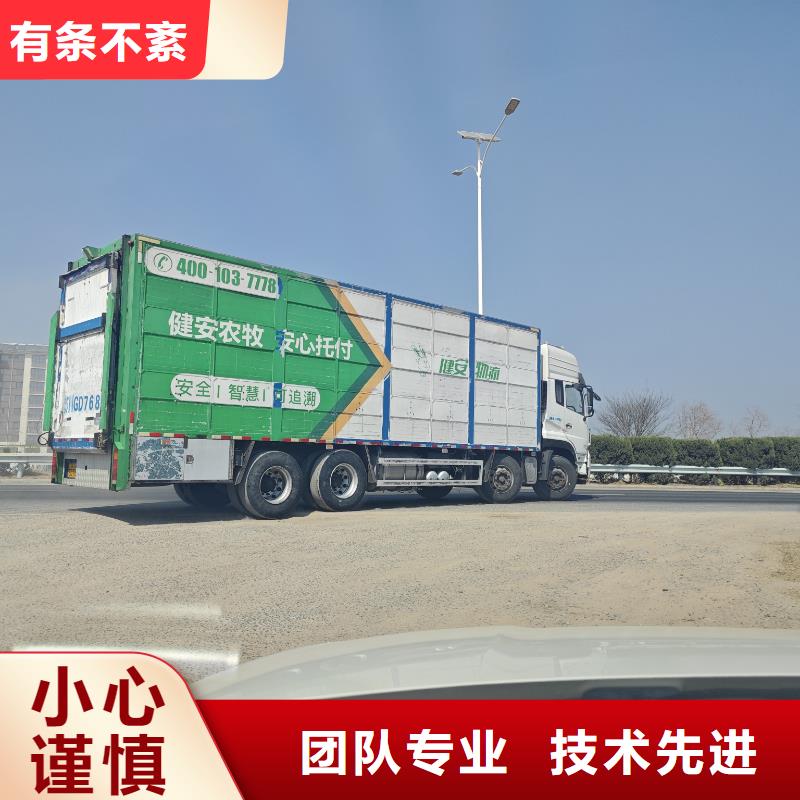 绍兴到鄂州牛运输专用车防护周全