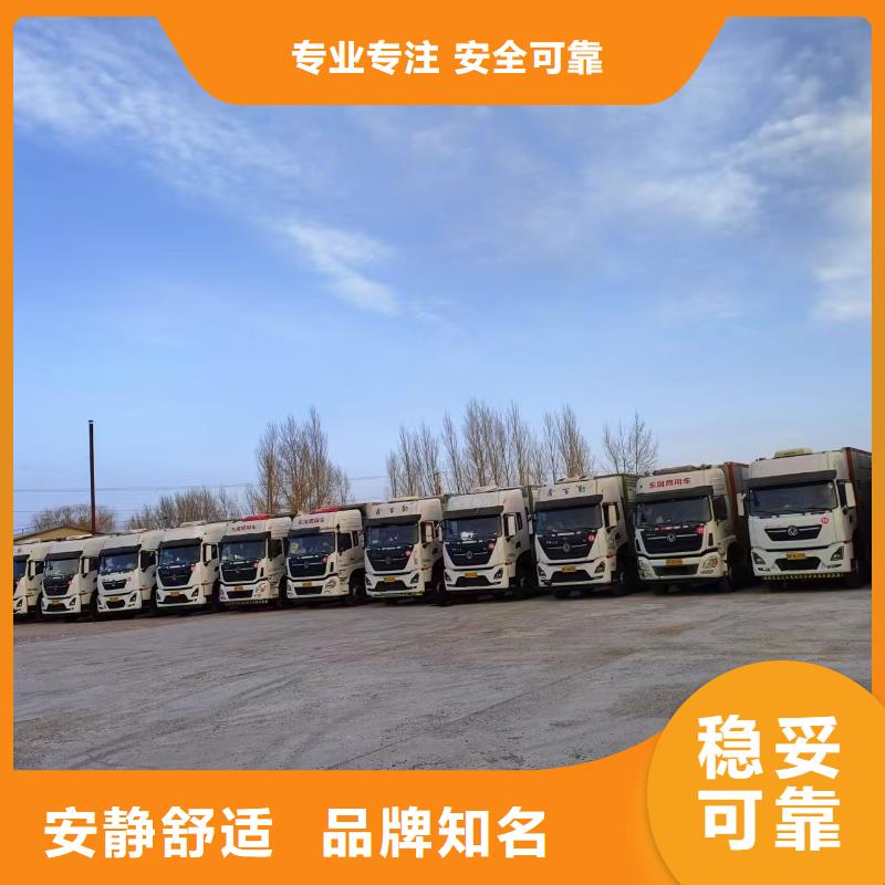 聊城至保定猪只运输专用车【专业笼具】