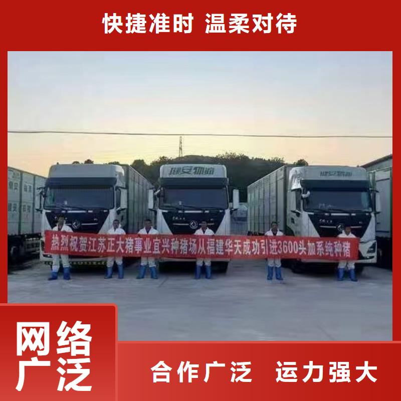 宿迁市泗阳到滁州猪笼车运输品质卓越
