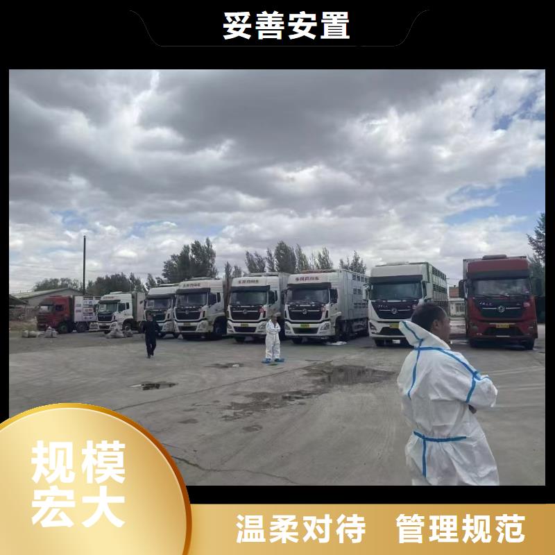 宿迁到嘉兴农牧运输自有运输车队