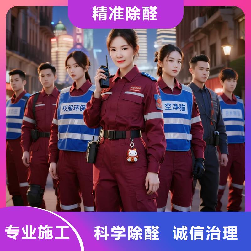 空净猫上门除甲醛除苯全国品牌直营_上海奉贤区海湾镇 上门除甲醛 空净猫全国直营诚信经营本地经销商