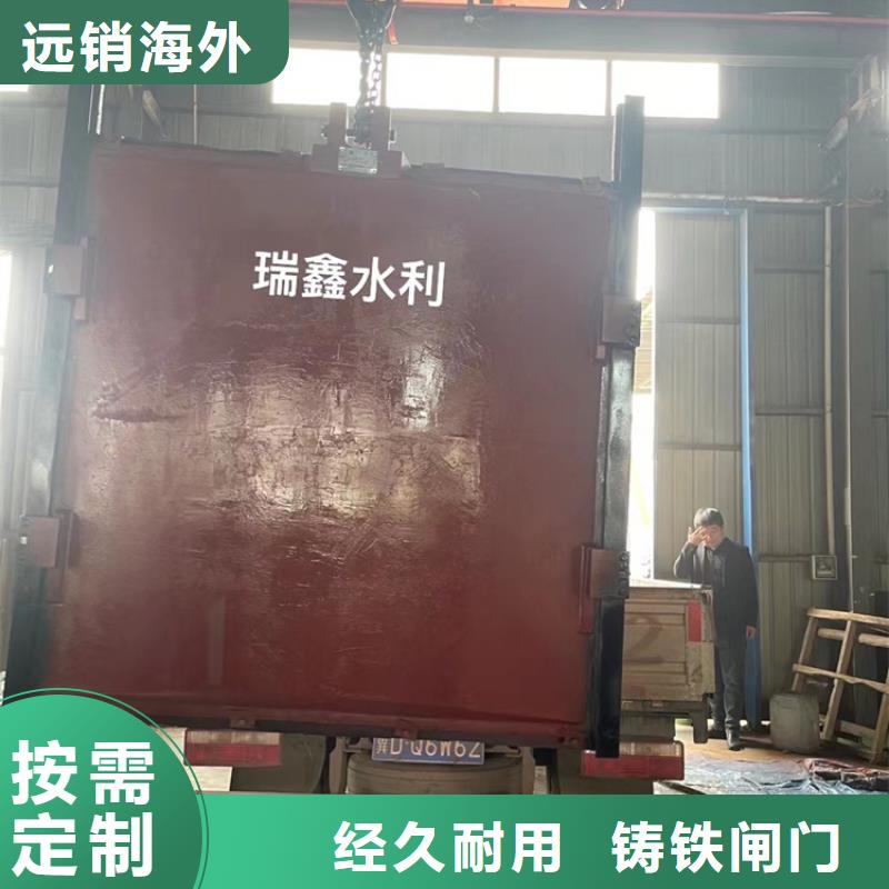 普洱水库一体铸铁闸门水利设备采购