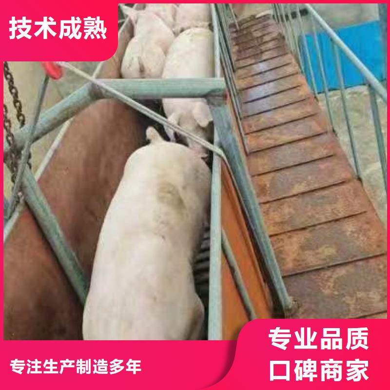 宿迁到温州猪只贸易有序顺畅