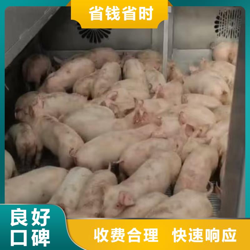 徐州到温州空调车运输-专用车诚信放心