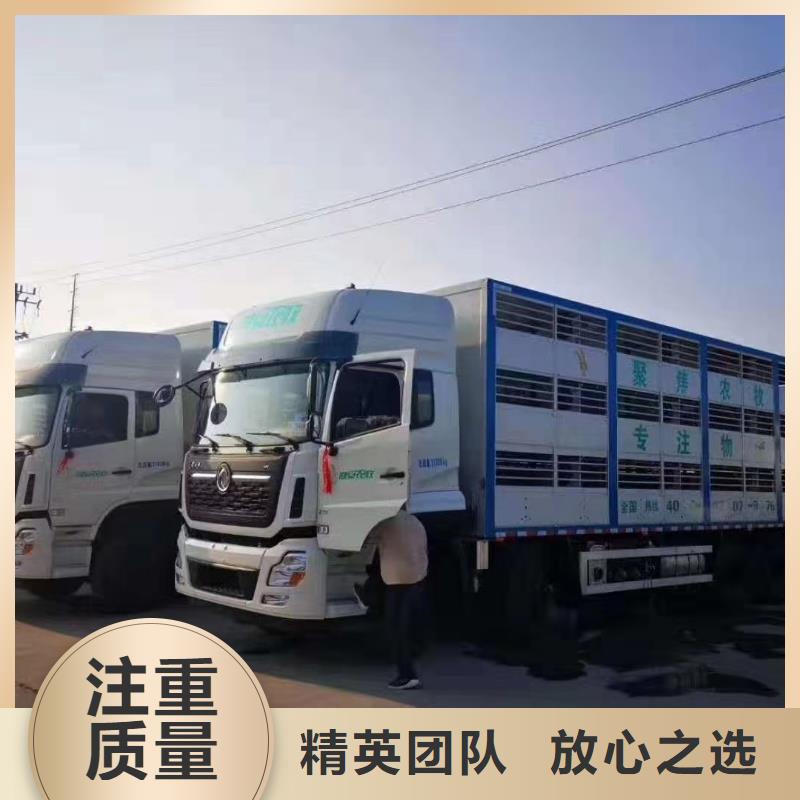 南京到红河二育运输-专用车资质齐全
