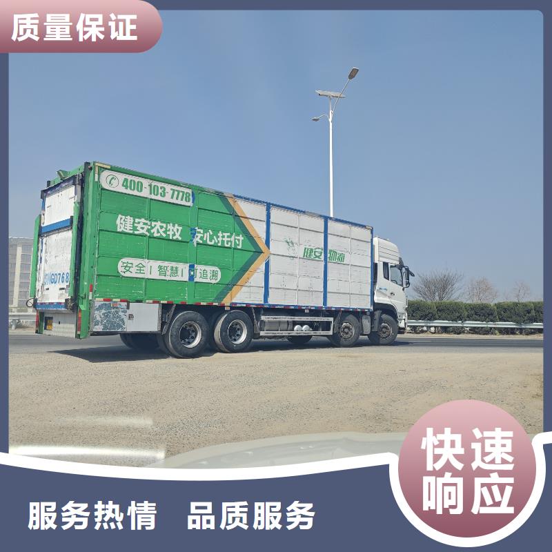 浙江到亳州恒温车运输