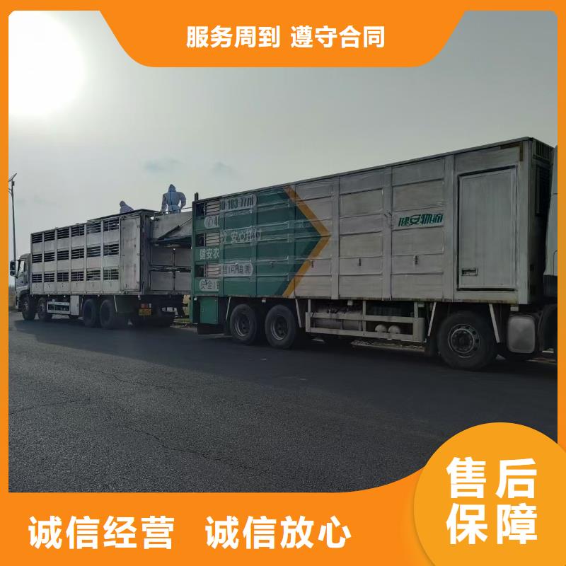 宿迁泗洪到自贡恒温车运输小心谨慎