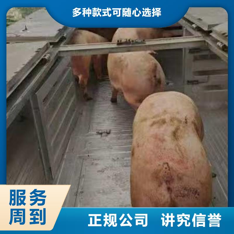 ​宿迁到台州仔猪恒温车运输每天发车