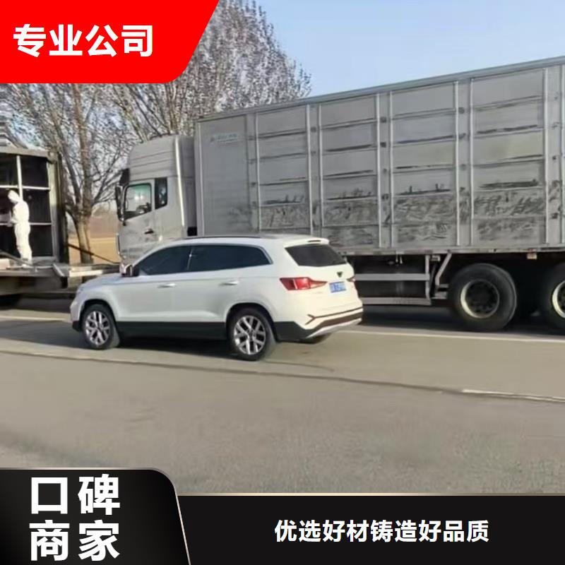 泗洪到温州农牧运输收费合理生猪运输