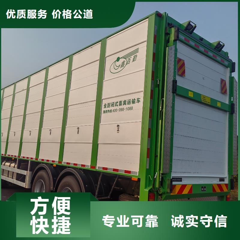 任城到安阳仔猪运输恒温车值得信赖